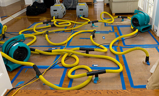 Professional Crawl Space Water Removal technician working in Mount Pleasant, UT